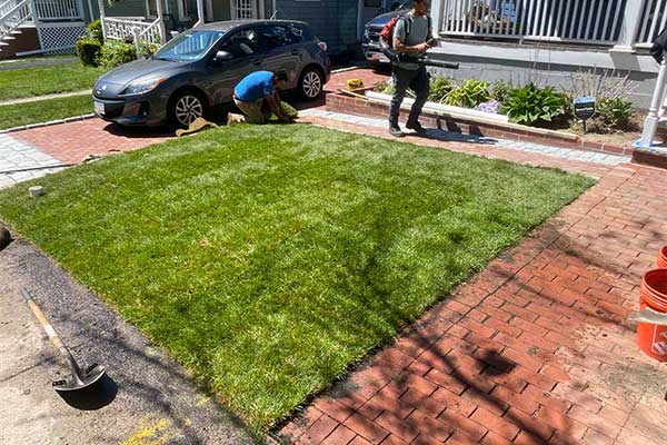 Landscaping Services Landscaping Services
