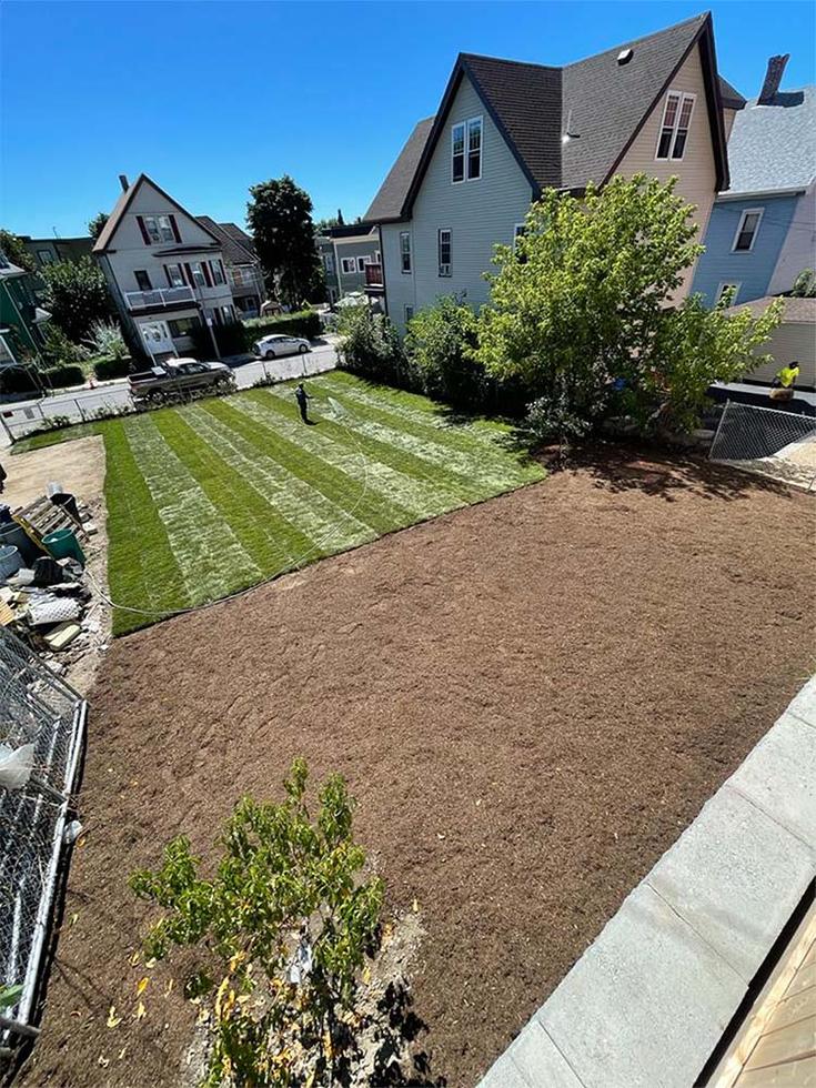 Quality Sod Installation