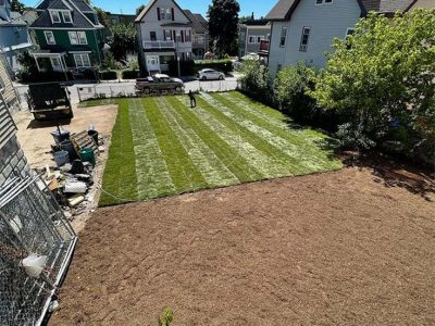 Quality Sod Installation