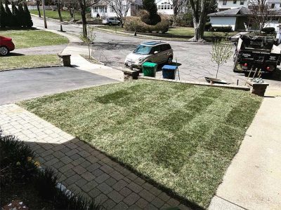 Residential Sod Replacement