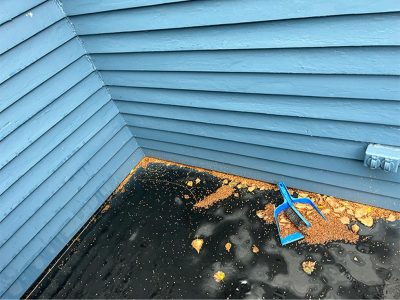 Siding Replacement Services