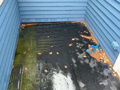 Siding Replacement Services