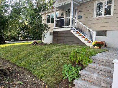 Sod Installation Services