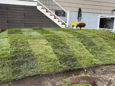 Sod Lawn Installation
