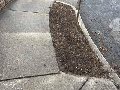 Sod Laying Services