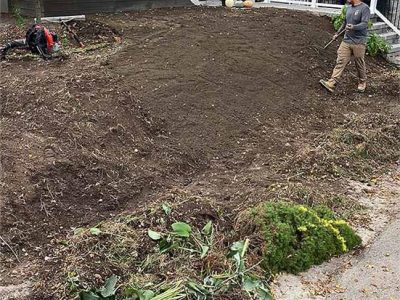 Sod Replacement Services